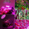 thumbnail image 2 of Esbaybulbs 100W LED Grow Light Bulb, Full Spectrum 150 LEDs for Indoor Plants, 2-Pack, 2 of 7