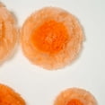 thumbnail image 3 of BalsaCircle 6 Pieces 12" 16" 20" Coral Orange Carnations Large Tissue Paper Flowers Wall, 3 of 5