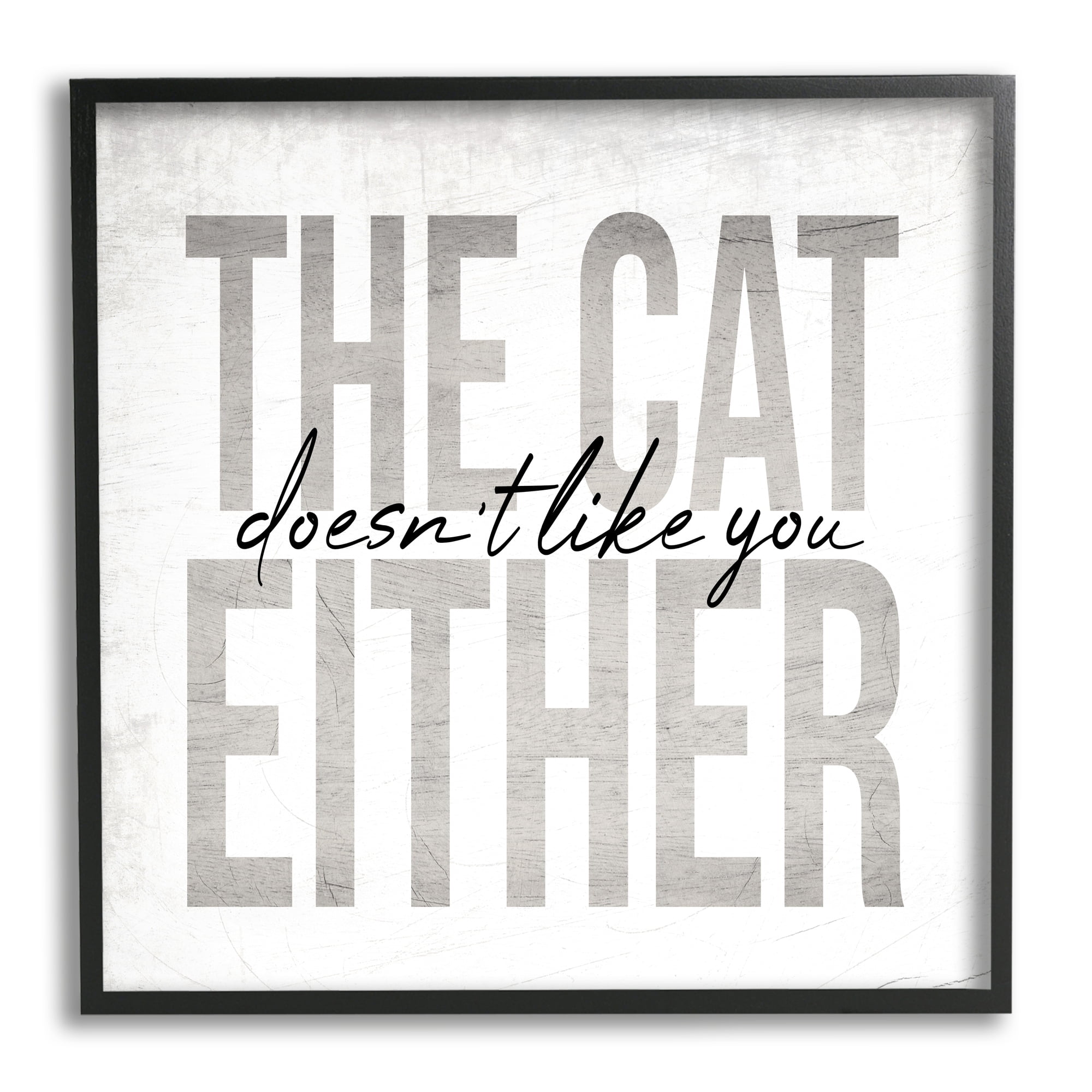 The Cat Doesn't Like You Either Pet Phrase 24 in x 24 in Framed Drawing Art Print, by Stupell Home Décor