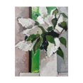 thumbnail image 1 of Paul Donaghy White Lilac Print, 1 of 1