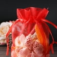 thumbnail image 5 of 100 Pcs Clear Gift Bags Birthday for Presents Sheer Organza Gifts Drawstring Small Red, 5 of 6