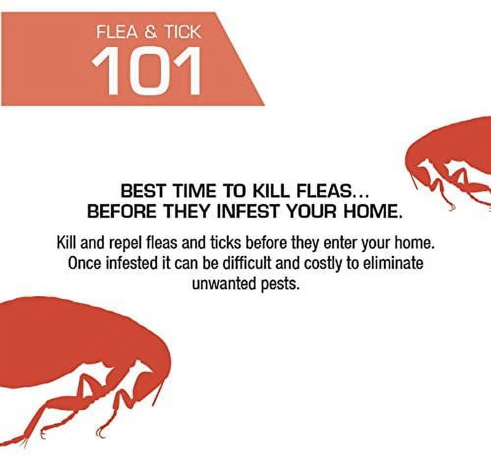 PETACTION PRO Flea & Tick Topical Treatment for Cats Over 1.5 lbs, 3 Count