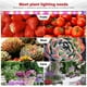 thumbnail image 5 of Inteprter Tiras de luz LED creciente USB ABS Phytolamp 5 modos de iluminación Linterna ajustable Luces de espectro completo para oficina Invernadero Jardín y Patio Tres Cabezas Rojo Azul Inteprter HA011849-06B, 5 of 6