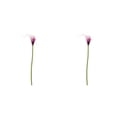 thumbnail image 1 of sweethay 1 Uds. De lirio de cala Artificial, decoración para el hogar y la Oficina, flor falsa de PU, flor para ceremonia de boda, Type1 NO1, 1 of 6