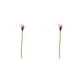 thumbnail image 2 of Flor artificial Toystoory lirio de cala 34cm blanco morado, 2 of 5