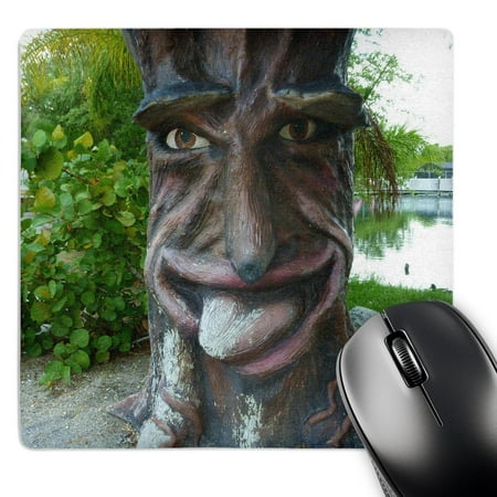 3dRose  Funny Face  MousePad price history on PriceWatchPro
