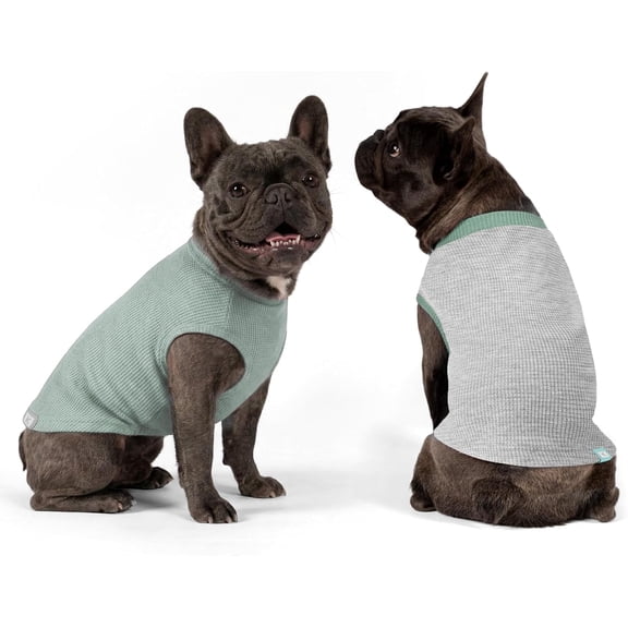KYEESE 2Pack Waffle Dog Shirts, Green Grey, Dog Shirt for Small Dogs, L