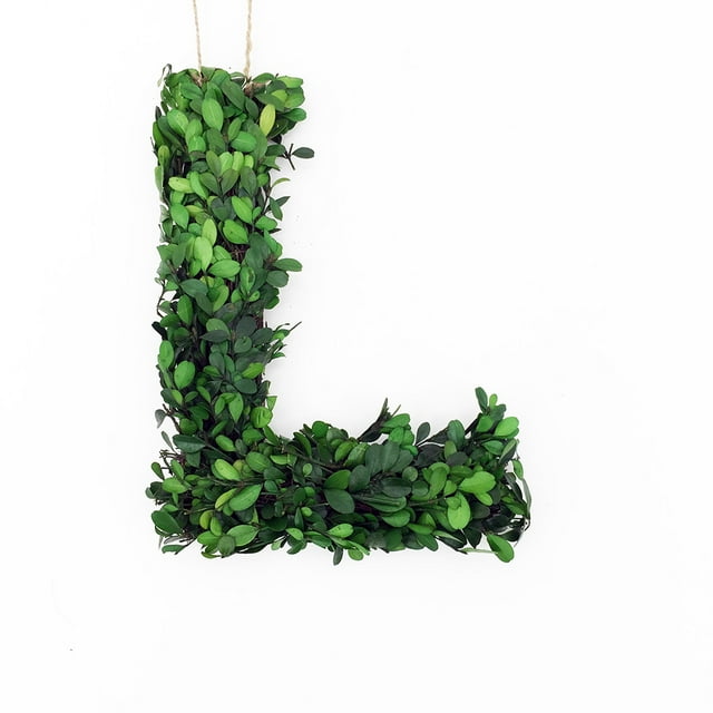 Modern Home Couronne Monogramme en Bois de Buis Préservé 12 Pouces - L