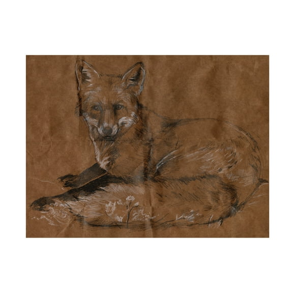Canvas Wall Art - Jennifer Paxton Parker 'Crafty Fox II' Wall Art for Living Room, Bedroom, or Office Décor by Trademark Fine Art - 19 x 14 Inches