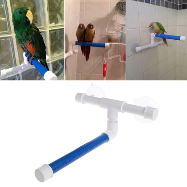 Bird Window Shower Perch Bath Toy Stand For Parrot Macaw Cockatoo