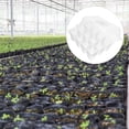 thumbnail image 1 of OUNONA 5Pcs Durable Plastic Nursery Pots Transparent for Cultivation, 1 of 8