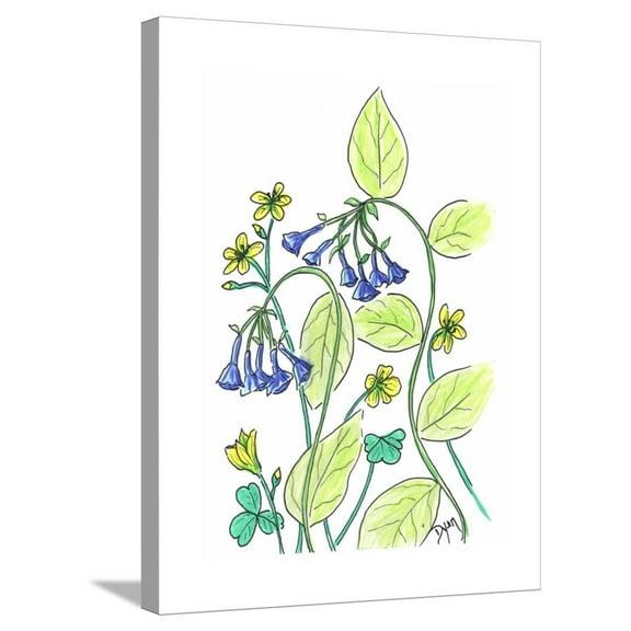 Virginia Bluebells, Botanical Stretched Canvas Wall Art by Beverly Dyer Sold by Art.Com