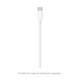 thumbnail image 4 of Adaptador Apple USB-C de 20 W, 4 of 4