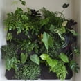 thumbnail image 5 of Reali 9 Pockets Wall Hanging Planting Pot Green black Plant Grow Planter Vertical Garden Bag Supplies Bags Garden Tool, 5 of 10