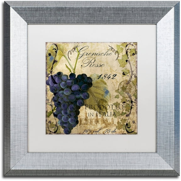 Trademark Fine Art "Vino Italiano III" Canvas Art by Color Bakery White Matte, Silver Frame