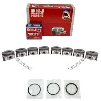 DNJ PR262 Standard Piston Ring Set For Acura 3.2L-3.5L V6 SOHC 24v Engines (99-18)