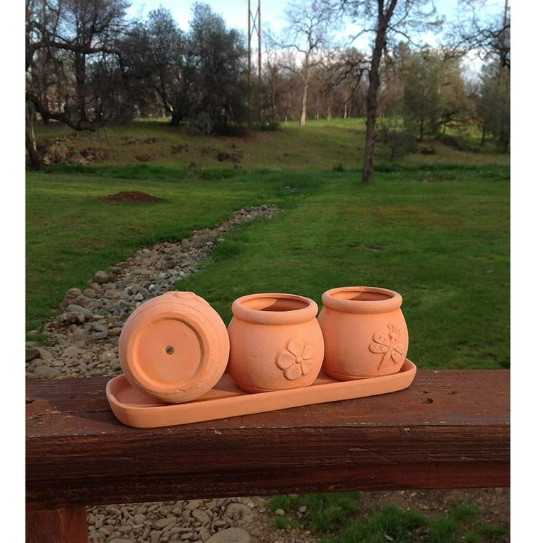 Terracotta Set of 3 Small Embossed Earthenware Planters or Herb Pots and Tray, Round shape Terracotta Set of 3 Small Embossed Earthenware Planters or Herb Pots and Tray, Round shape