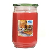 Mainstays Single-Wick Large Glass Jar Candle, 20 oz.