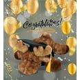 thumbnail image 6 of DolliBu Brown Lying Moose Graduation Plush Toy - Super Soft Moose Graduation Stuffed Animal Dress Up with Gown and Cap with Tassel Outfit - Reward Celebration Grad Gift - 9 Inch, 6 of 7