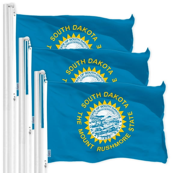 G128 3 Pack: South Dakota SD State Flag | 3x5 Ft | LiteWeave Pro Series Printed 150D Polyester | Indoor/Outdoor, Vibrant Colors, Brass Grommets, Thicker and More Durable Than 100D 75D Polyester