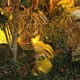 thumbnail image 4 of Estatuas de Jardín Solar Conejos Con Mariposas Cargas Solares de Resina Sintética Pintada A Mano Luces de Estatuas Solares, 4 of 7