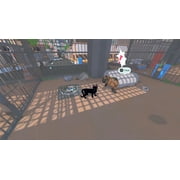 Little Kitty, Big City, Nintendo Switch