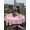 Red Pink Peach Pink, variant on Outdoor Tablecloth with Umbrella Hole and Zipper, Valentine's Day Rectangle Table Cloth 54x80 Inch Waterproof Tablecloth, Pink Red Roses Love Heart Eucalyptus Plaid Picnic Table Cover for Patio