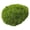 Green, variant on Simulation Artificial Handmade DIY Gardening Art Wall Shop Bonsai Decoration, Light Green Moss 30g