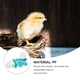 thumbnail image 5 of 2pcs Pigeon Pigeon Alimentadores de agua Dove Hervidor de agua Tazones de bebida automáticos Regalo, 5 of 6
