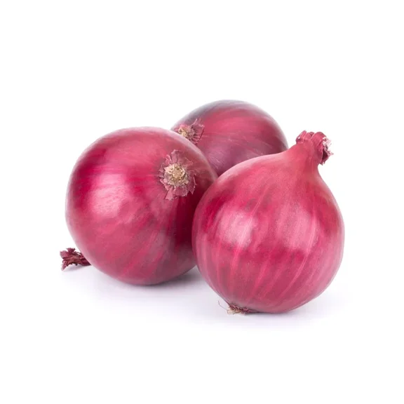1000 Red Grano Onion Seeds - Heirloom Non-GMO Onion Seeds - High Yield!