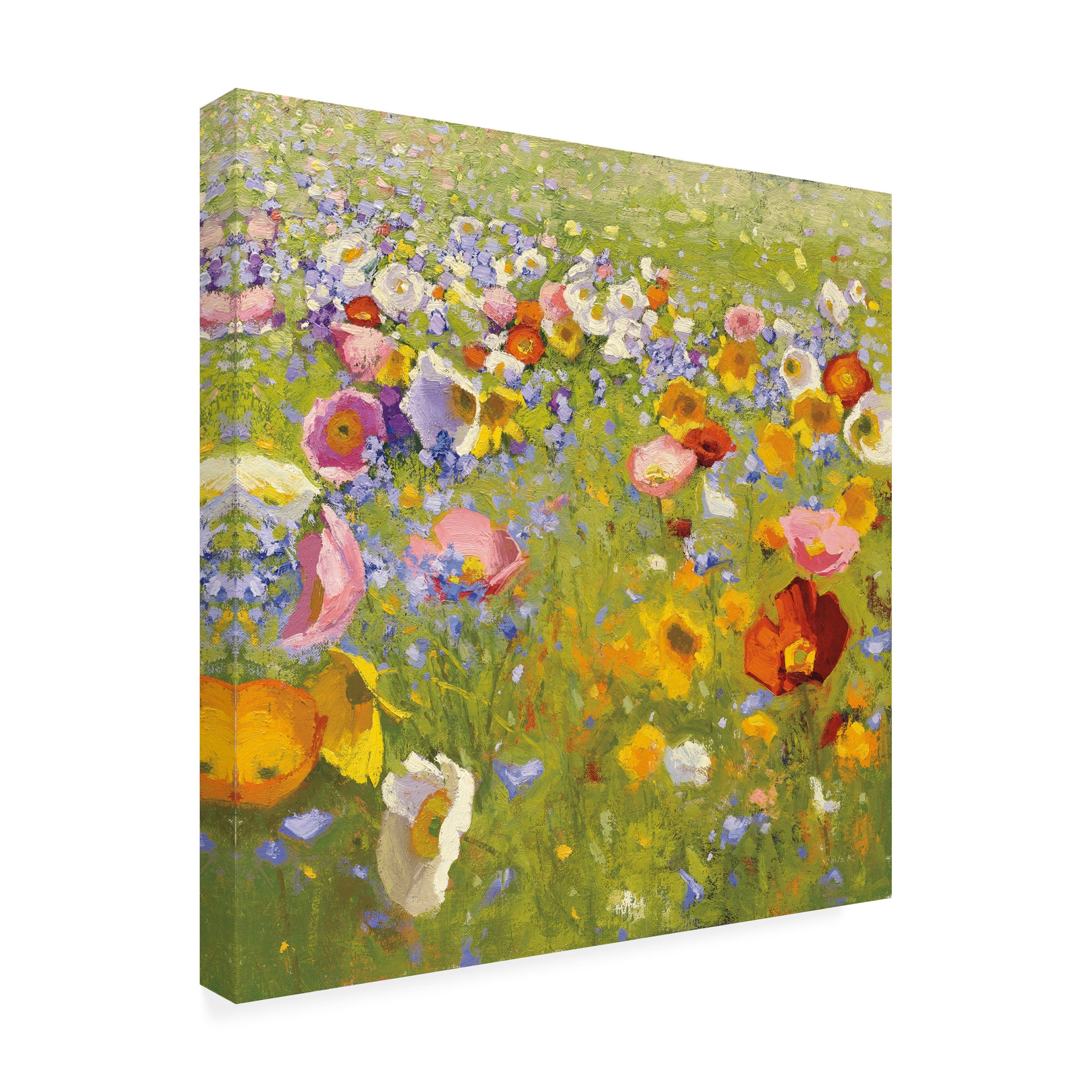 Shirley Novak 'Champ de Fleur I' Canvas Art