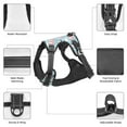 thumbnail image 6 of Fotbe Cute Panda Flying in the Sky Pattern Dog Harness, No-Pull Pet Harness with 2 Leash Clips, Adjustable Soft Padded Dog Vest with Easy Control Handle for Large Dogs-X-Large, 6 of 6
