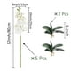 thumbnail image 2 of Flores artificiales de Phalaenopsis Hin-Oco con hojas, 5 unidades, blancas, 2 of 7