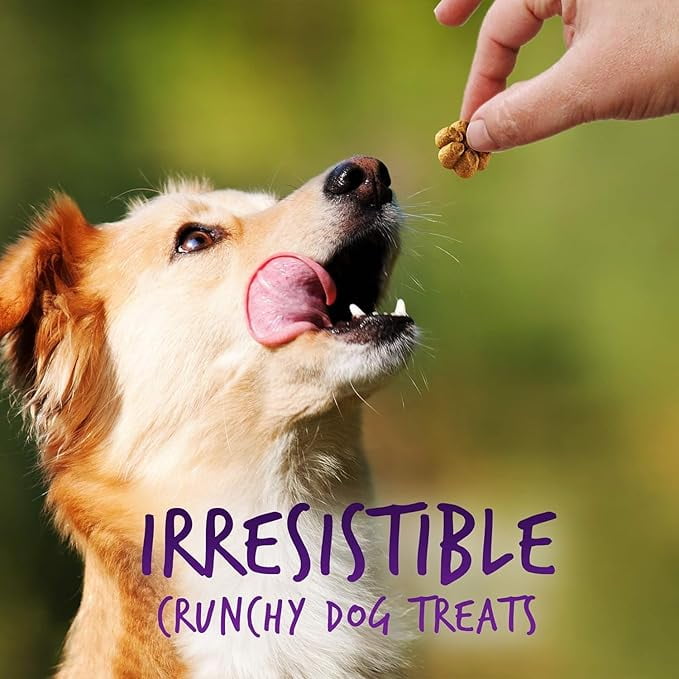 Fruitables Baked Dog Treats, Pumpkin & Fruit Flavors, Low Calorie, Wheat Free, 12 oz, Variety Pack of 8