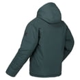 thumbnail image 4 of Regatta - Chaqueta Impermeable Colehurst para Hombre (Aguilones Verdes) Regatta UTRG8256_greengables, 4 of 4