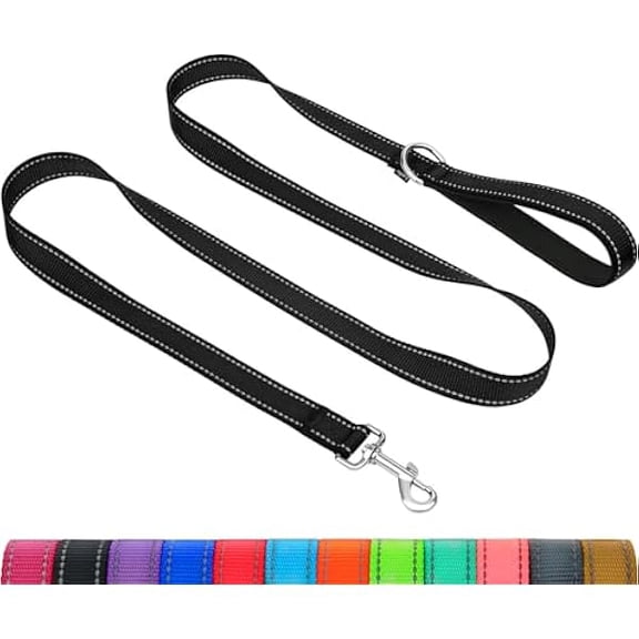 Eryueer Dog Leash for Small Dogs, Double-Sided Reflective Leash with Soft Neoprene Padded Handle, 3/4 inch by 5 ft, Fit Small Medium Large Breeds Under 20 lbs, Black