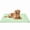 Green, variant on Kobolaf Dog Cooling Mat Original Self Activating Pet Cool Pad for Large Medium Small Breeds Chew Resistant Washable Waterproof Foam Mattress Lightweight Travel Crate Bed for Summer Heat Relief