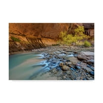 Trademark Fine Art 'Virgin Narrows Zion' Canvas Art by Pierre Leclerc