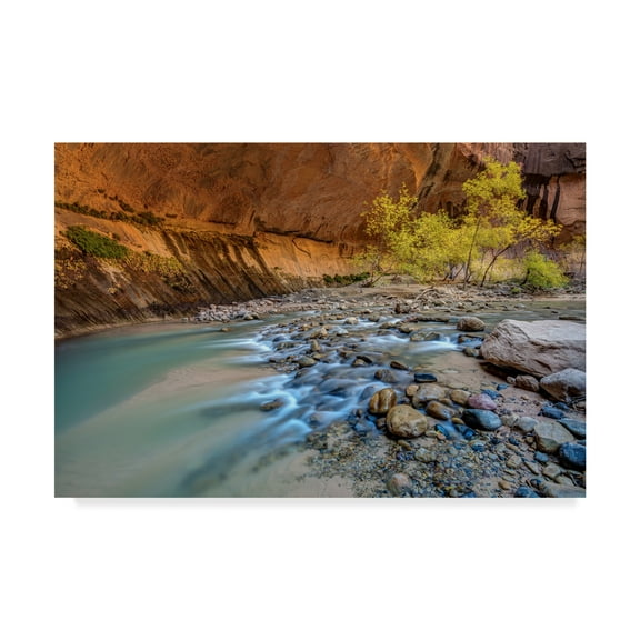 Trademark Fine Art 'Virgin Narrows Zion' Canvas Art by Pierre Leclerc