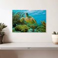 thumbnail image 2 of Elephant Stock Turtle In Bonaire Reef Wall Art - Horizontal Canvas Wall Art - Dining Room Wall Decor - Animal Canvas - Yellow And Green Decor - 12" x 8", 2 of 8