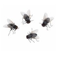 thumbnail image 5 of Refrigerator Sticker Black Small Fridge Magnets Strong Magnets Simulation Fly Fridge Magnet for Home, 5 of 6