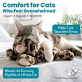 thumbnail image 5 of Catstages Calming Kitty Pal Plush Cat Toy with Purring and Heartbeat for Kitten Comfort, Battery Operated, 5 of 8