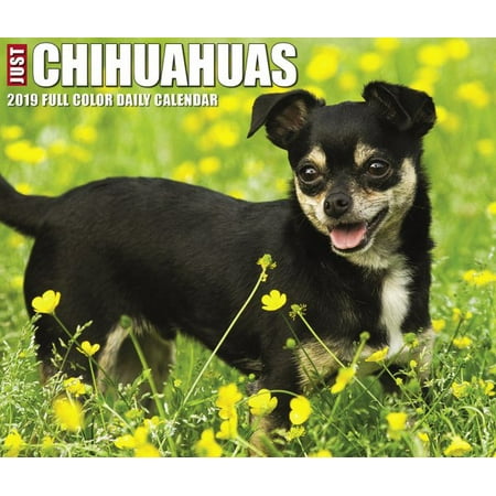 Chihuahua 2010 Calendar - Just Chihuahuas 2019 Calendar