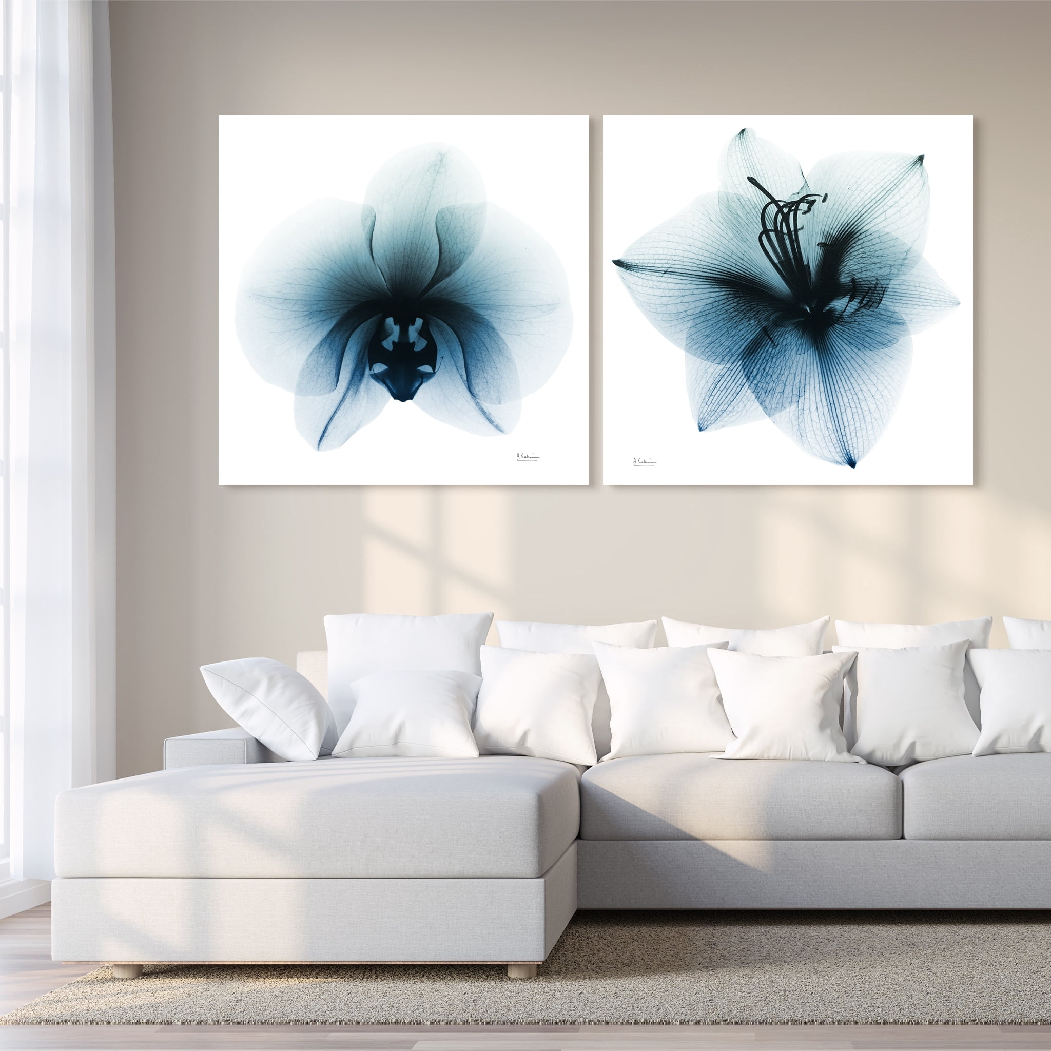 Orchid & Amaryllis 38 in x 38.00" Painting Art Prints, by Empire Art Set of 2