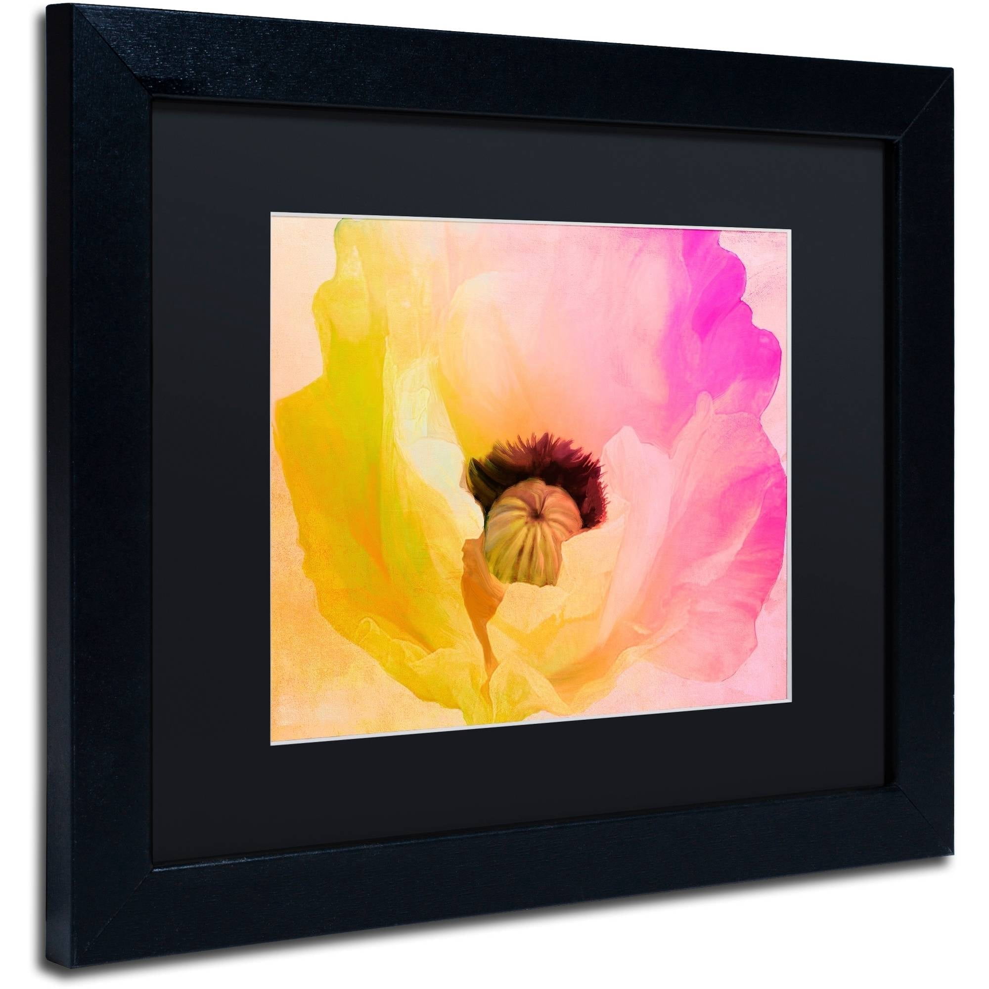 Trademark Fine Art "Poppy Gradient II" Canvas Art by Color Bakery Black Matte, Black Frame