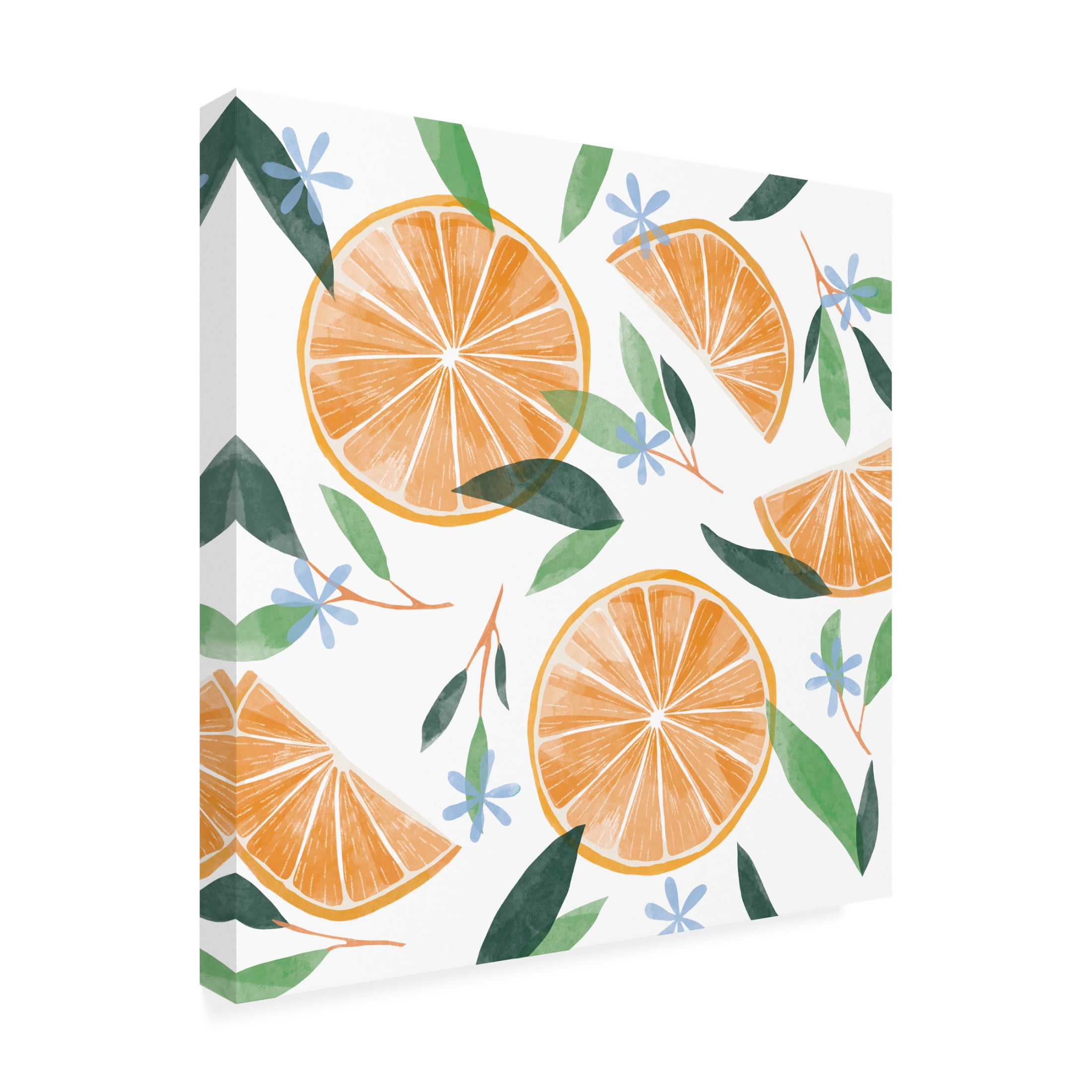 Canvas Wall Art - Rebekah Ewer 'Orange Blossom Slices II' Wall Art for Living Room, Bedroom, or Office Décor by Trademark Fine Art - 24 x 24 Inches