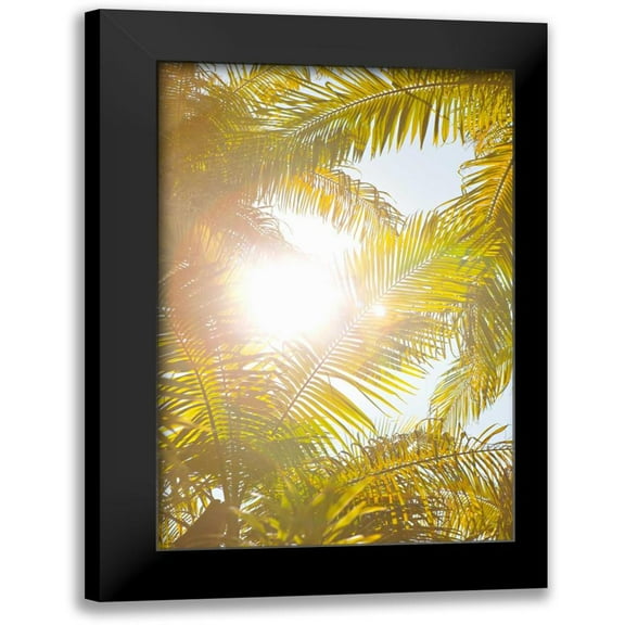 Millet, Karyn 11x14 Black Modern Framed Museum Art Print Titled - Tropical Oasis II