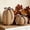 Checkered Bow, variant on DN DECONATION Fall Pumpkin Decor, Fake Rattan Pumpkin Decorations for Home