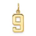 thumbnail image 4 of 14k Yellow Gold Casted Small Polished Number 9 Charm Pendant, 4 of 7