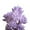 Purple, variant on Artificial Flocked Plants Plastic Succulent Unpotted Assorted Realistic Plants Fake Textured Succulent Picks for DIY Home Landscape Decorations Office Hotel Decoration